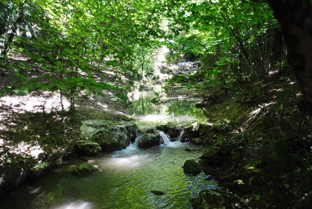 Domaine D'Angouire Hotell Moustiers-Sainte-Marie Eksteriør bilde