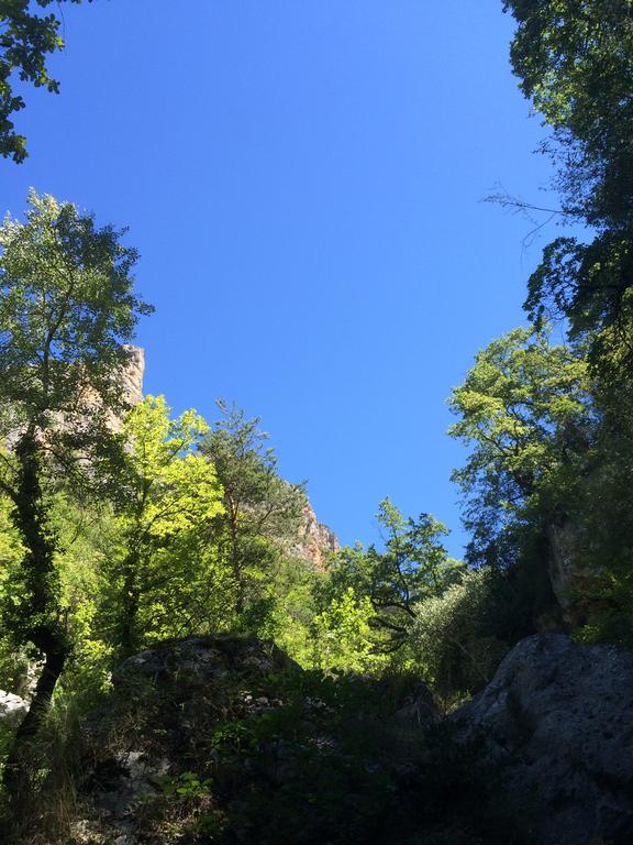 Domaine D'Angouire Hotell Moustiers-Sainte-Marie Eksteriør bilde